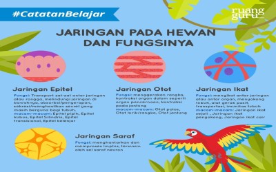 BELAJAR MENGENAL DIRI LEWAT BIOLOGI ” DARI ORGAN KE KESADARAN DIRI”